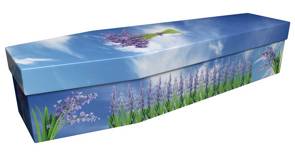 Cardboard Bluebells