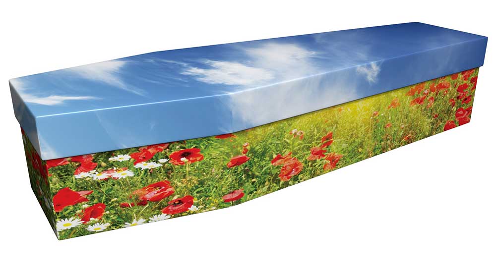 Cardboard Poppy Field