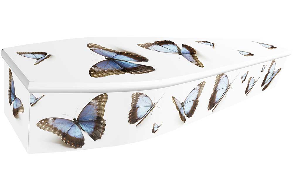 Contemporary Blue Butterflies
